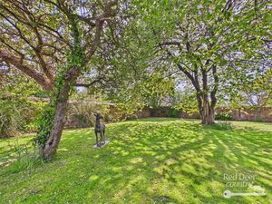 Garden- click for photo gallery